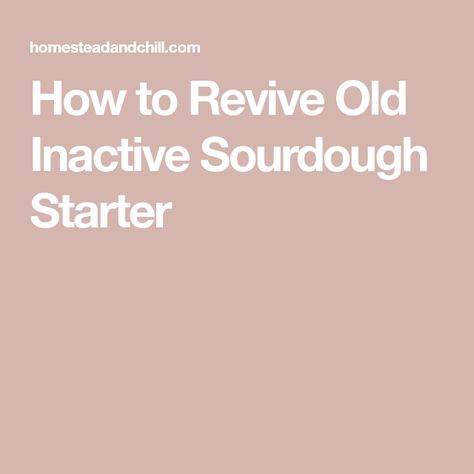 How to Revive Old Inactive Sourdough Starter Sourdough Starter Recipe, Rye Flour, Gram Flour, Starters Recipes, Teacher Teacher, Sourdough Starter, Bread Baking, Food Print, Bread