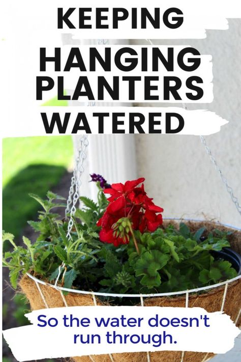 An easy and inexpensive way to prevent water from running through your hanging planters! This keeps the water in the planter so the soil gets moist and the plant can use the water it needs. Plus, the excess will drain. Purple Lantana, Container Planting, Container Garden Design, Winter Gardening, Hanging Flower Baskets, Hanging Flower Pots, Red Geraniums, White Planters, Diy Hanging