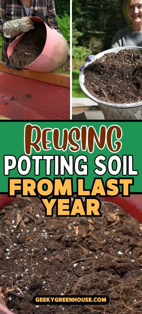 If you're wondering whether you can reuse potting soil from last year, the answer is yes! Learn how to amend and reuse your potting soil to save money when filling your potted garden plants or raised beds. Garden Soil Mix, Potted Garden, Garden Prepping, Garden Remedies, Vegetable Garden Diy, Backyard Vegetable Gardens, Garden Compost, Garden Help, Veg Garden