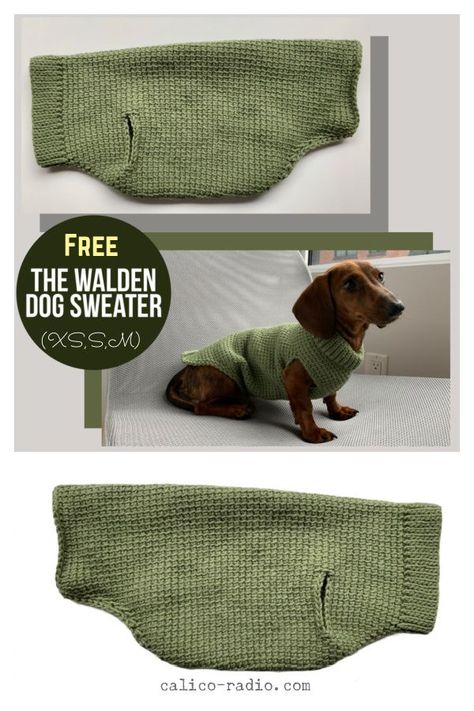 Dachshund Dog Sweaters, Crochet Dog Sweater Free Pattern, Knitted Dog Sweater Pattern, Crochet Dog Clothes, Dachshund Sweater, Dog Sweater Crochet Pattern, Dachshund Pattern, Dog Sweater Pattern, Crochet Dog Patterns