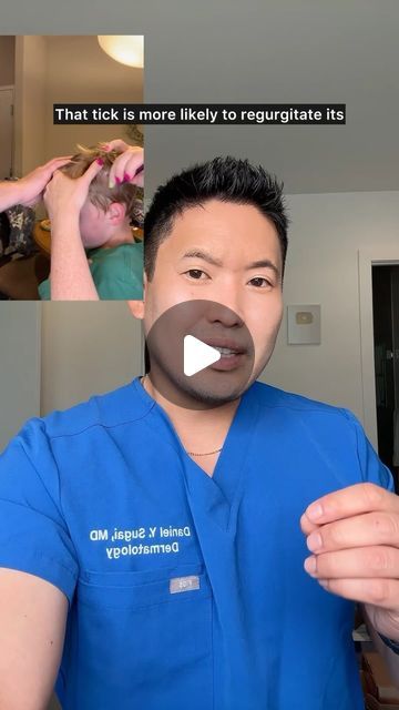 Dr. Daniel Sugai, MD, FAAD | The tick may not be an Ixoxes tick/deer tick but the message remains the same- don’t hit the tick with a match!  Pull straight off with... | Instagram Removing Ticks From Dogs, Deer Tick Bite, Ticks On Humans, Natural Remedies For Ticks On Dogs, How To Remove A Tick From A Human, Essential Oils For Ticks On Dogs, Homemade Tick Repellent, Get Rid Of Ticks, Types Of Ticks