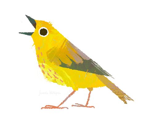 Stick Illustration, Bird Guide, Yellow Warbler, Book Illustration Layout, Children's Book Characters, Bird Artists, Bird Sketch, Picture Books Illustration, Bird Book