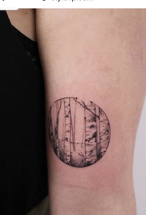 Circle Tree Tattoo, Quaking Aspen Tree Tattoo, Tree Trunk Tattoo, Birch Tattoo, Aspen Tree Tattoo, Birch Tree Tattoo, Tree Ring Tattoo, Aspen Trees Tattoo, Tree Tattoo Black