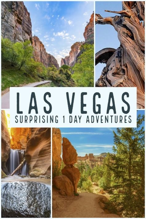 Day Trips from Las Vegas -The Ultimate List of Excursions from Las Vegas Day Trips From Las Vegas, Snow Canyon State Park, Best Road Trips, Nevada Travel, Vegas Vacation, Us Travel Destinations, Valley Of Fire, Vegas Trip, Las Vegas Trip