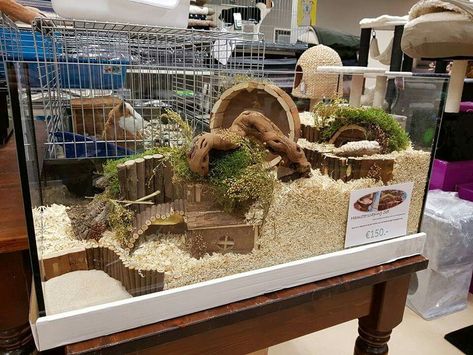 Hamster Terrarium, Kandang Hamster, Hamster Tank, Hamster Diy Cage, Gerbil Cages, Mouse Cage, Cage Hamster, Hamster Diy, Hamster Life