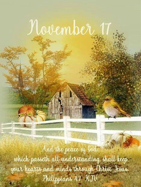 #Fr3555 #November17 2020 #15284 (2019) #Philippians4:7 KJV #DailyBlessing www.facebook.com/groups/FriendsofJudiann November 17 Quotes, November 17 Bible Verse, November 17 Blessings, November Prayer, November Scripture, November Blessings, December Scriptures, Philippians 4 7, Monthly Quotes