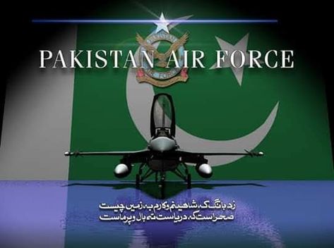 Pakistan Air Force, Air Force Day, Army Girl, Air Force, Pakistan, Force, Novelty Christmas, Holiday Decor, Wall