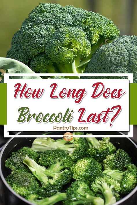 Find out how long does broccoli last. How to keep broccoli fresh longer. How to store broccoli so they can last as last as possible. Ways To Cook Frozen Broccoli, How To Preserve Fresh Broccoli, How To Keep Broccoli Fresh Longer, Boiling Broccoli, How Long To Steam Broccoli, How Long To Roast Broccoli In Oven, Chopped Broccoli, Steamed Broccoli, Fresh Broccoli