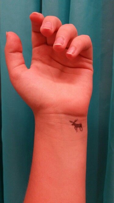 10+ Small Moose Tattoo Designs | PetPress Moose Silhouette Tattoo, Cute Moose Tattoo, Moose And Squirrel Tattoo, Tiny Moose Tattoo, Moose Tattoo Small, Canada Tattoo Ideas, Alaska Tattoo Ideas, Alaska Tattoos, Moose Tattoos