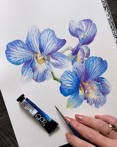 ANNA 🌺 BUCCIARELLI (@anna.m.bucciarelli) • Instagram photos and videos Art Techniques Tutorial, Orchid Drawing, Orchids Painting, Dragonfly Painting, Globe Art, Watercolor Flowers Tutorial, Instagram Add, Flowers Tutorial, Watercolour Flowers