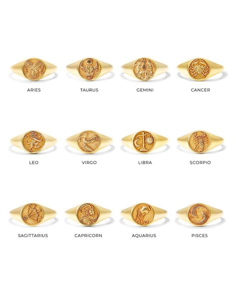 Zodiac signet rings Jewelry Gift Guide, Signet Rings, Gold Signet Ring, Holiday Jewelry, James Allen, Signet Ring, Jewelry Gift, Gift Guide, Gold Jewelry