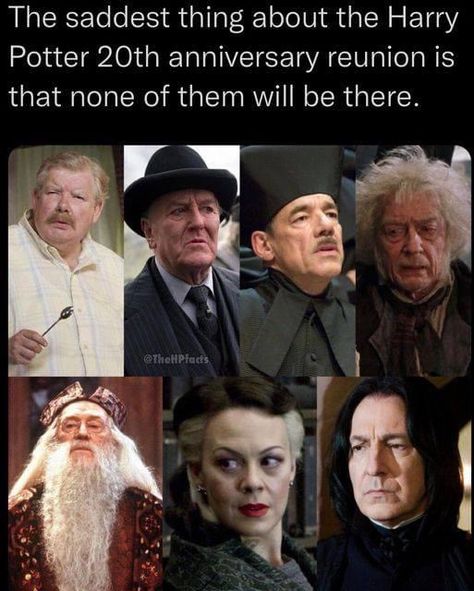 Harry Potter 20th Anniversary, Return To Hogwarts, Alan Rickman Always, Hp Book, Daniel Radcliffe Harry Potter, Harry And Ginny, Potter Facts, Harry Potter 2, Harry Potter Facts