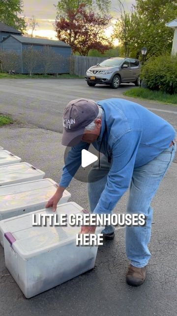 Captain Matt and the Worm People on Instagram: "These are my little greenhouses… #gardening #seedstarting #organicgardening #wormcastings #homegardening #gardenhack" Cute Small Garden Ideas Backyards, Gardening With Recycled Materials, Greenhouse Gardening For Beginners, Small Raised Garden Ideas, Small Green House Ideas, Prepper Garden, Small Greenhouse Diy, Allotment Ideas Inspiration, Mini Greenhouse Indoor