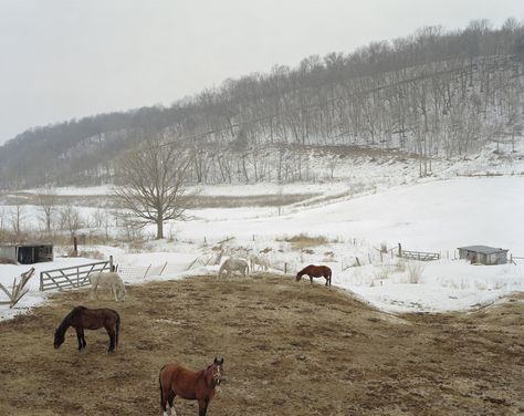 Southern Gothic, Milwaukee Wi, Gallery Art, Winter Aesthetic, Future Life, Winter Time, East Coast, My Home, Winter Wonderland