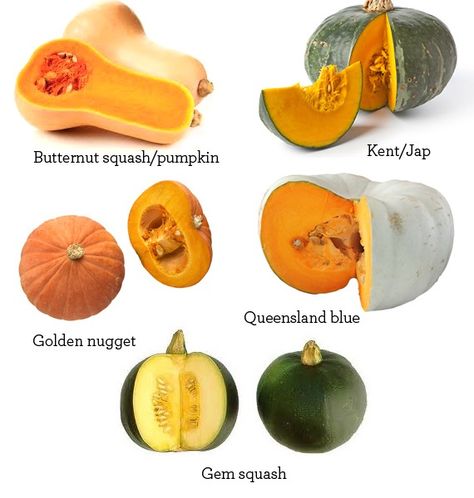 Varieties of the Pumpkin/Squash family Gem Squash, Fresh Pumpkin Recipes, Paleo Pumpkin Recipes, Pumpkin Swirl Cheesecake, Paleo Pumpkin Pie, Winter Squash Recipes, Types Of Pumpkins, Pumpkin Varieties, Food Variety