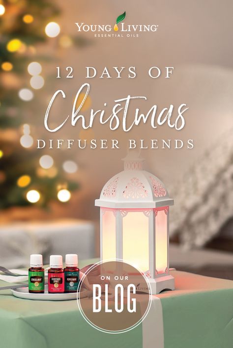 Yl Christmas Diffuser Blends, Young Living Christmas Blends, Young Living Pine Diffuser Blends, Snow Day Diffuser Blends Young Living, Young Living Christmas Diffuser Blends, Peace And Calming Diffuser Blends, Fir Needle Diffuser Blend, Christmas Tree Diffuser Blend, Evergreen Essence Diffuser Blends