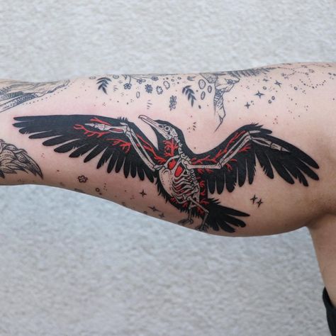 Pony Reinhardt Tattoo, Pony Reinhardt, Seagull Tattoo, Crow Tattoo Design, Vogel Tattoo, Crow Tattoo, Skeleton Tattoos, Tattoo Illustration, Cardiovascular System