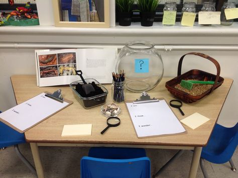 Classroom pet provocation! http://www.wondersinkindergarten.blogspot.ca/2013/11/what-should-we-get-classroom-pet.html Pet Inquiry Kindergarten, Fdk Provocations, Investigation Table, Curiosity Approach Eyfs, Science Invitations, Kindergarten Inquiry, Classroom Pets, Curiosity Approach, Science Inquiry