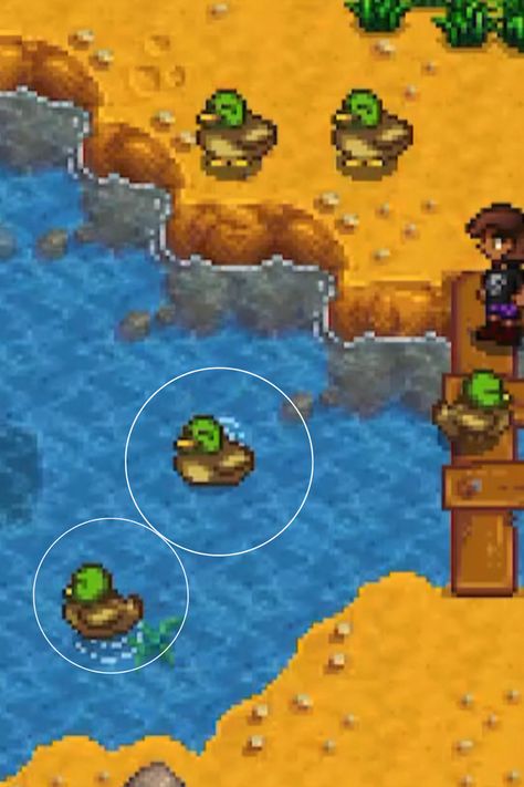 Cute ducks swimming Stardew Valley Duck, Cozy Nintendo Switch Games, Cozy Nintendo Switch, Duck Pfp, Stardew Valley Farm, Cute Ducks, Stardew Valley Farms, Duck Wallpaper, Farm Games