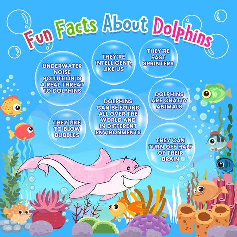 Dolphin Science Project, Dolphin Facts For Kids, Facts About Dolphins, Animale Marine, Dolphin Quotes, Create Birthday Invitations, Scuba Vbs, Dolphin Facts, Insects Preschool