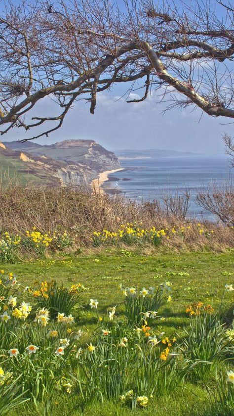 Lyme England, Imaginary Places, Dorset Coast, South West Coast Path, British Seaside, Lyme Regis, Stationary Shop, Walking Routes, Short Break