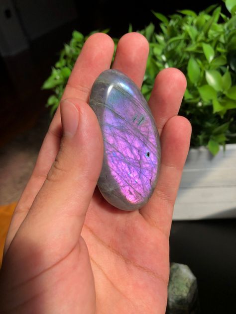 Labradorite Aesthetic, Pretty Crystals, Crystal Room, Irvine California, Crystal Aesthetic, Crystal Goddess, Purple Fire, Pretty Rocks, Labradorite Crystal