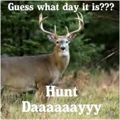 Hunting Jokes Deer, Deer Season Humor, Deer Meme, Deer Puns, Hunting Quotes Funny, Deer Hunting Humor, Hunting Jokes, Hunting Quotes, Deer Signs