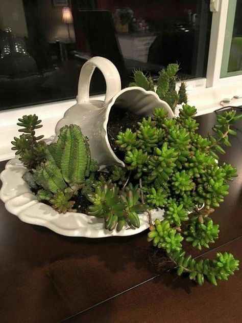 Kaktus Dan Sukulen, Succulent Garden Indoor, Tanaman Indoor, Tanaman Pot, Gubahan Bunga, Succulent Garden Design, نباتات منزلية, Succulent Garden Diy, Dish Garden