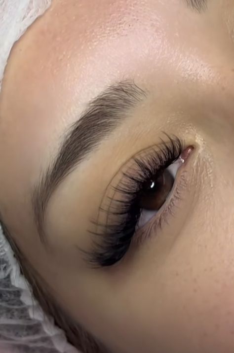 Lash Extensions 2d, 2d Lashes, Lash Types, Lashes Fake Eyelashes, Lashes Tutorial, Eyelash Tips, Eyelash Extensions Styles, Lash Extensions Styles, Lash Sets