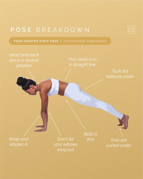 Four-Pointed Staff Pose (Chaturanga Dandasana) Pose Breakdown 💫 ft. Marie Belle Perez Rivera  ✨ Head and neck in neutral position ✨ Body is in a straight line ✨ Tuck the tailbone under ✨ Wrap your elbows in ✨ Belly is firm ✨ Toes are curled under  💛 Head to our new pose tutorial blog post! Dandasana Pose, Belle Perez, Pose Tutorial, Chaturanga Dandasana, New Pose, Upward Facing Dog, Yoga Illustration, Plank Pose, Teacher's Blog