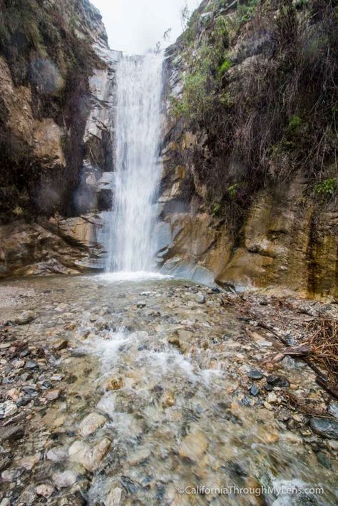 Trail Canyon Falls: A 40 Foot Waterfall in Angeles National Forest - California Through My Lens Angeles National Forest, West Coast Trail, Utah Hikes, Forest Adventure, Forest Trail, Waterfall Hikes, Colorado Hiking, Ice Climbing, North Cascades