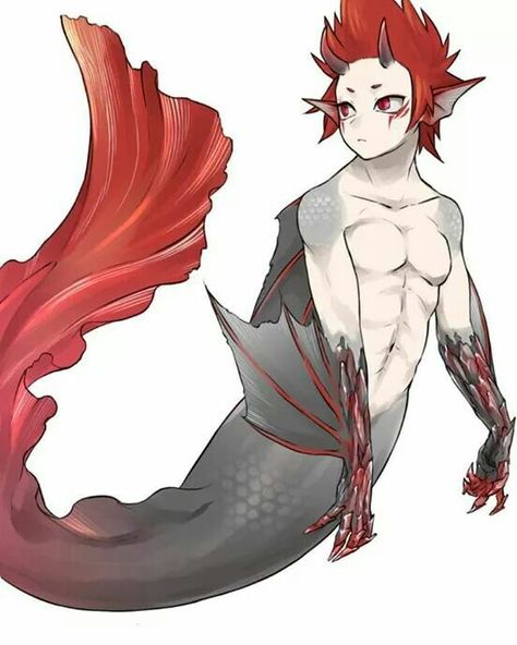 How about a beta fish merman Kirishima for everyone today ♥ Kirishima Eijirou, Mythical Creatures Art, Mermaid Art, My Hero Academia Manga, Creature Art, Mythical Creatures, Drawing Reference, Boku No Hero Academia, The Story