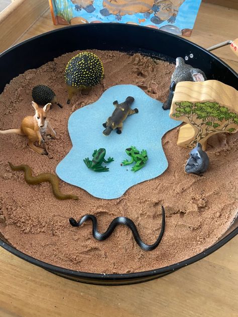 Naidoc Week Sensory Play, Naidoc Week Activities For Babies, Aboriginal Activities For Kids, Australian Animals Activities, Home Corner Ideas Early Years, Aboriginal Activities, Naidoc Week Activities, Aboriginal Art For Kids, Childhood Activities