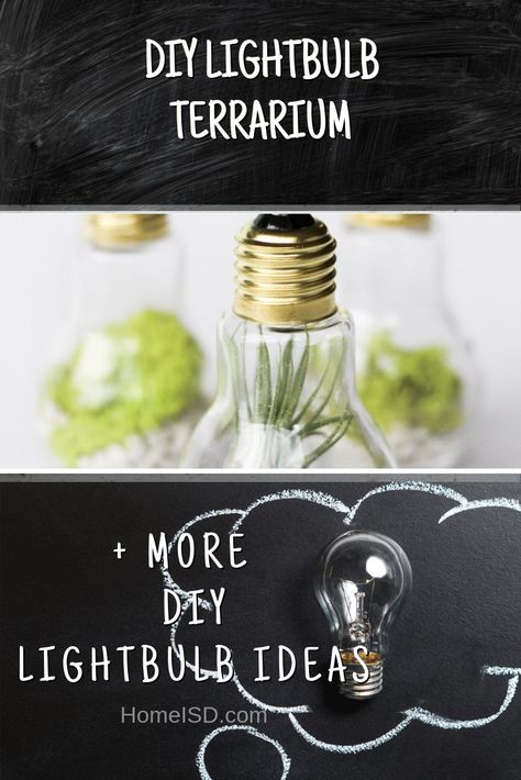 DIY Lightbulb Terrarium #lightbulb #homedecor #DIY #craft #decoraccent Hanging Lightbulb, Lightbulb Terrarium, Lightbulb Crafts, Easy Diy Home Decor, Home Decor Craft, Cute Dorm Rooms, Diy Simple, Diy Home Decor On A Budget, Gold Box