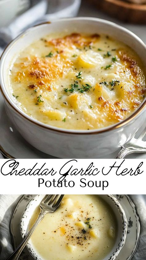 This garlic cheddar potato soup is a creamy, cheesy, and comforting meal that’s perfect for cold days. With tender potatoes, savory garlic, and a rich cheddar flavor, it’s an indulgent soup everyone will love. Garlic Potato Soup, Cheddar Potato Soup, Creamy Garlic Potatoes, Potato Cheddar Soup, Creamy Potato Soup Recipe, Cheddar Soup Recipe, Garlic Cheddar, Cheddar Potatoes, Cheesy Potato Soup