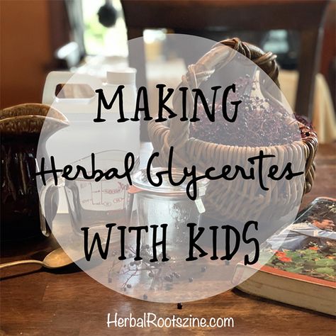 Herbal Glycerites, Gluten Free Oatmeal Bars, Herbal Vinegar, Herb Tinctures, Gluten Free Oatmeal, Plant Medicine, Medicine Woman, Herbal Tinctures, Homeschool Kids