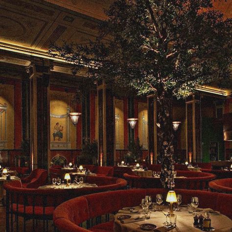 Five Star Restaurant Aesthetic, Five Star Restaurant, Restaurant Aesthetic, Caesars Palace, Restaurant Design, Five Star, Family Dinner, Night Club, All Over The World