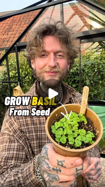 Planting Basil From Seed, How To Grow Basil From Seed, Growing Basil From Seed, Growing Basil Indoors, Grow Basil, Grow From Seed, Growing Basil, Seed Starting Mix, Basil Seeds