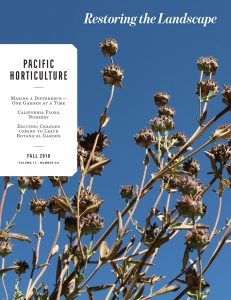 Pacific Horticulture Society | A Grevillea Resource Guide Pnw Garden, Vegetable Garden For Beginners, Fall Vegetables, Australian Plants, Coastal Gardens, Wildflower Garden, Water Wise, Vegetable Gardening, Cactus Garden