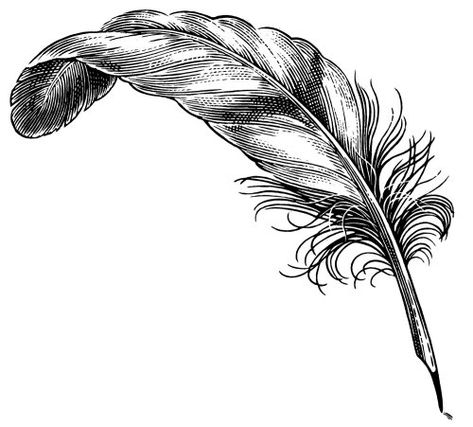 Quill Illustration, Church Illustration, Quill Tattoo, Feather Quill Pen, Feather Drawing, Feather Tattoo Design, Feather Quill, Art Quilling, Engraving Illustration