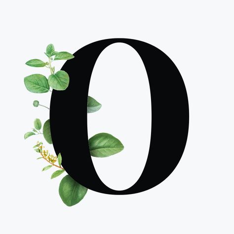 Botanical capital letter O font design | free image by rawpixel.com / Aum Botanical Capital Letter, Font Free, Letter O, Font Design, Free Photo, Free Image, Premium Vector, Alphabet, Floral