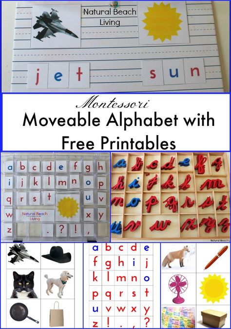 Montessori Moveable Alphabet, Language Arts, Preschool, Toddler, Montessori Materials, Kids activities, Free Printables, phonics www.naturalbeachliving.com Language Arts Preschool, Arts Preschool, Preschool Calendar, Montessori Activities Preschool, Montessori Kindergarten, Montessori Printables, Toddler Montessori, Diy Montessori, Montessori Lessons