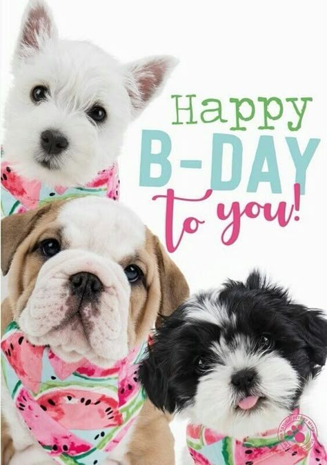 Happy Birthday Wishes With Dogs Pictures, Happy Birthday Puppy Images, Happy B Day Wishes, Birthday Wishes For Dog, Happy Birthday Puppy, Friends Happy Birthday, Birthday Wishes Gif, Happy Birthday Niece, Birthday Puppy