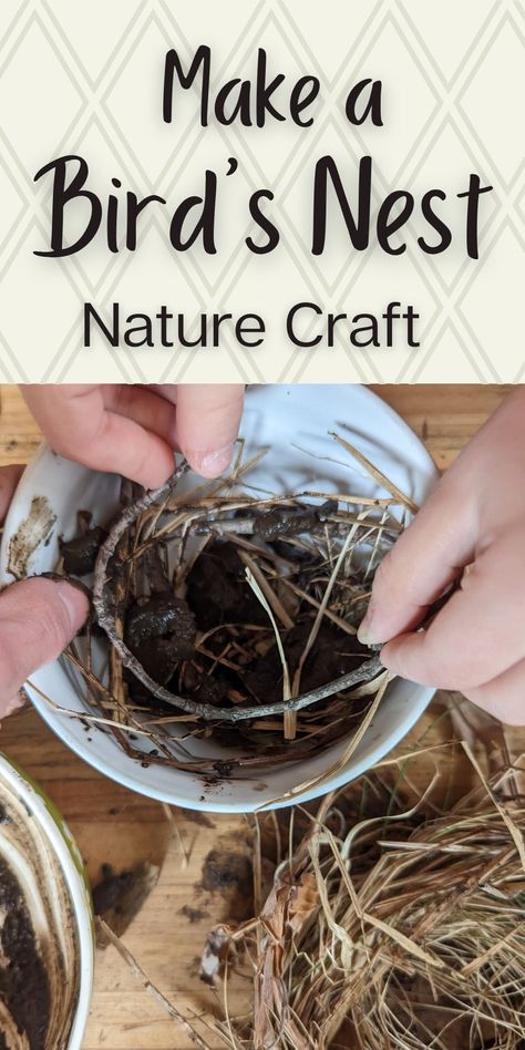 child and parent's hands shaping natural materials into a bowl on a wooden surface with dried grass and mud.  Light tan rectangle across the top with lattice and text overlay. Nature Crafts Kindergarten, Nature Lessons For Kindergarten, Nature Themed Activities For Preschool, Forest School Bird Activities, Bird Unit Study Preschool, Nature Crafts For Middle School, Elementary Nature Activities, Nature School Crafts, Preschool Forest School Activities