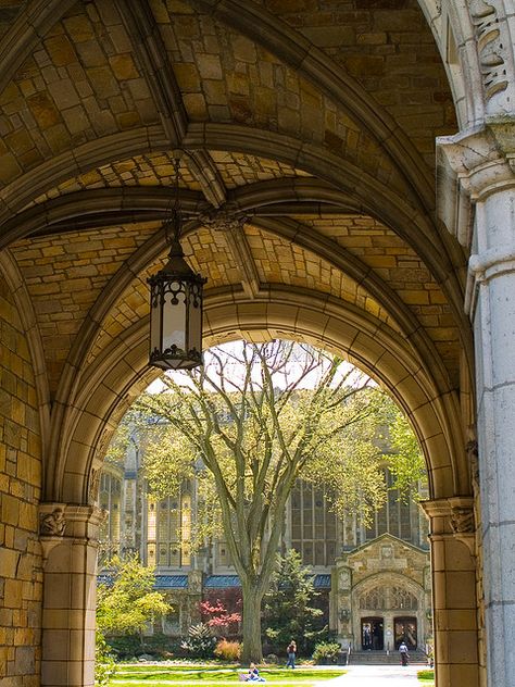 University Of Michigan Campus, Michigan Go Blue, Eastern Michigan University, Ann Arbor Michigan, Dream College, University Life, Dream School, Michigan Usa, Best University