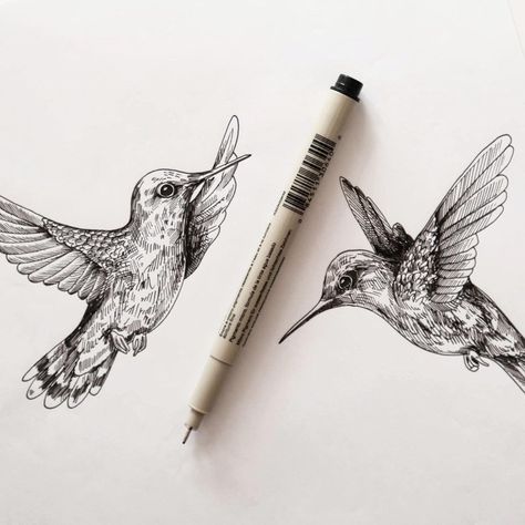 Hummingbird Pen Drawing, Manga Sakura, Alfred Basha, Sakura Micron Pens, Bird Drawing, Everything Goes, Drawing Ink, Drawing Projects, Black And White Illustration