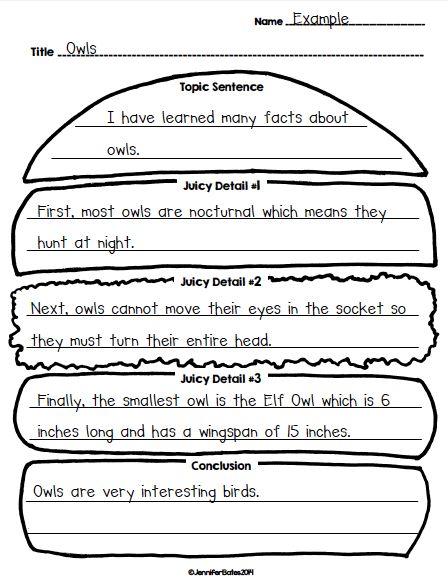 Finally in First: Hamburger Paragraph Craft and Organizers Giveaway Hamburger Paragraph, Second Grade Writing, Third Grade Writing, 3rd Grade Writing, 2nd Grade Writing, Homeschool Writing, Topic Sentences, Writing Anchor Charts, 1st Grade Writing