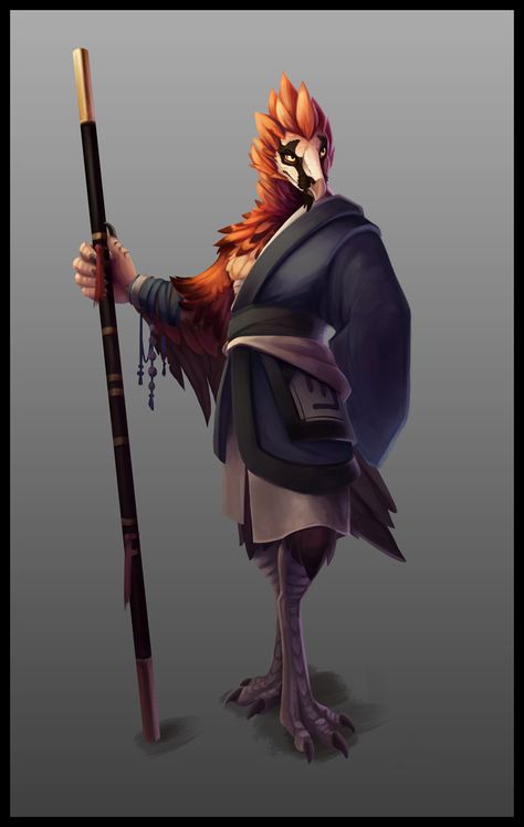 Dnd Aarakocra Monk, Aarakocra Monk, Bird People, Dnd Dragons, Fantasy Races, Dungeons And Dragons Characters, Fantasy Setting, Fantasy Rpg, Magical Creatures