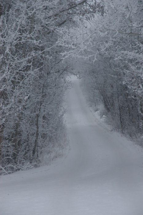 Snowy Road I Love Snow, I Love Winter, Winter Love, Winter Magic, Winter Scenery, Winter Beauty, Anti Aging Tips, Snow Scenes, Snow And Ice