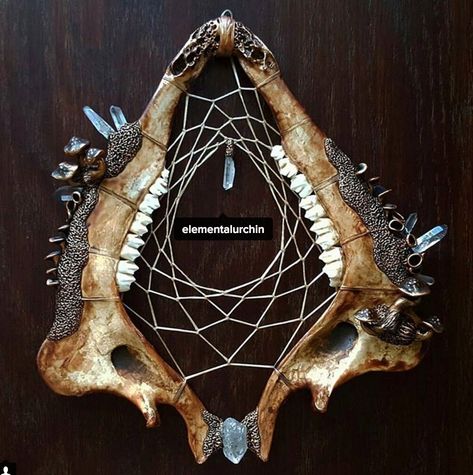 Bone Art Diy, Antler Crafts, Arts And Crafts Storage, Skull Crafts, Antler Art, Taxidermy Art, Throwing It Back, Vulture Culture, Bone Crafts